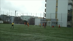 golo_cardoso