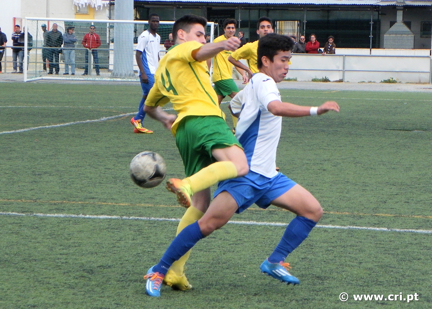2014-03-29cri1-1amora-044