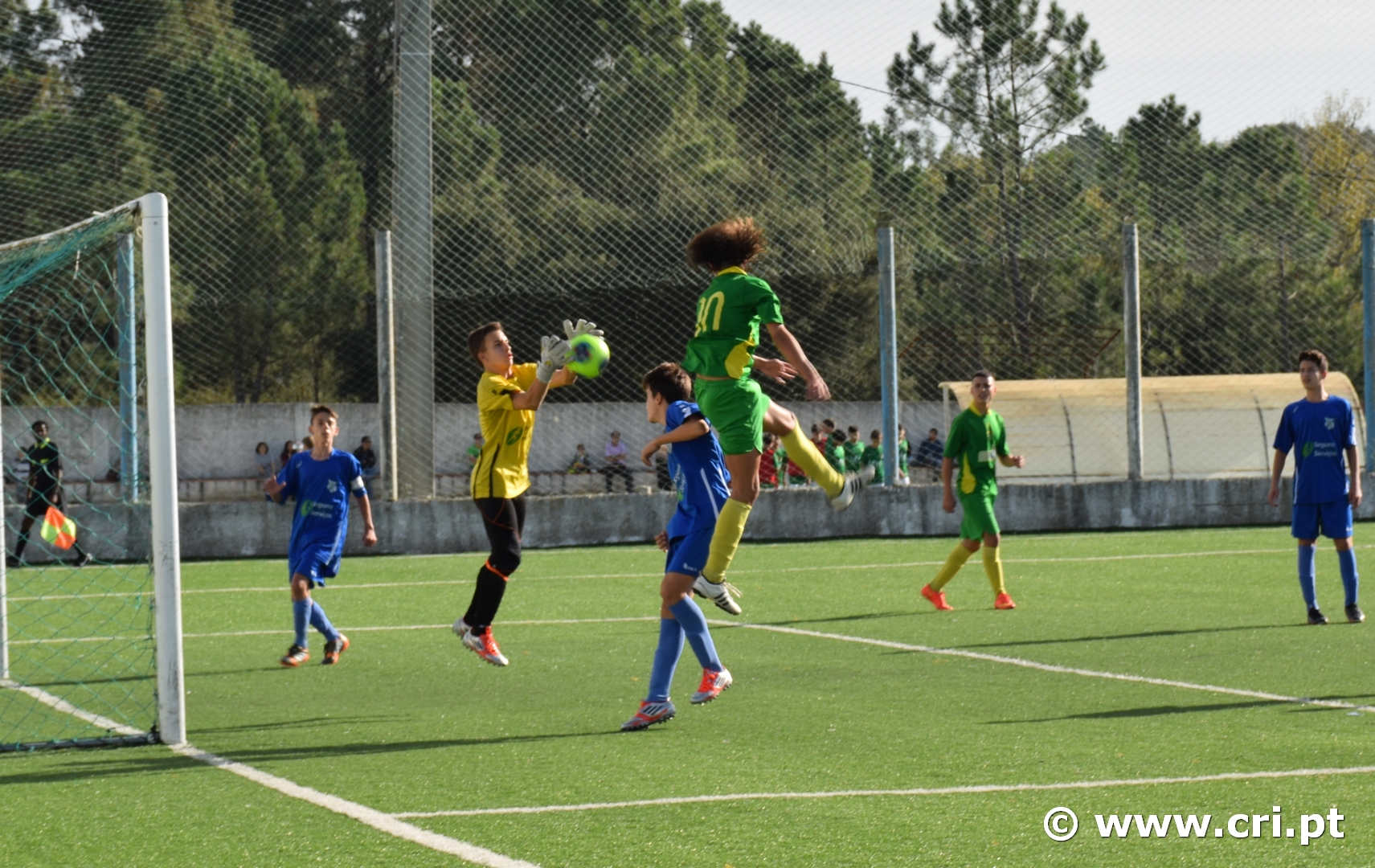 2014.11.02adqc-b2-2cri-058